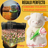Pack Tulipán Carga USB