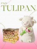 Pack Tulipán Carga USB